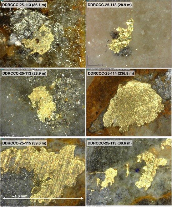 Cannot view this image? Visit: https://financemediainsider.com/wp-content/uploads/2025/11/274133_fc8a8fb4f4ed5acf_006.jpg