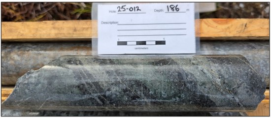 Cannot view this image? Visit: https://financemediainsider.com/wp-content/uploads/2025/12/278191_forgeimg2_550.jpg